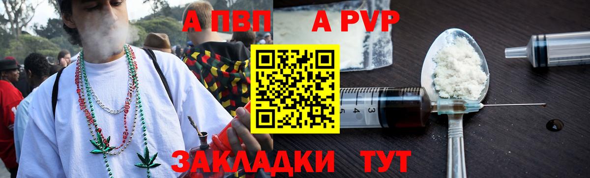 Alfa_PVP СК  A PVP СК КРИС  A PVP СК КРИС  Курчатов  закладка  Вход с VPN 