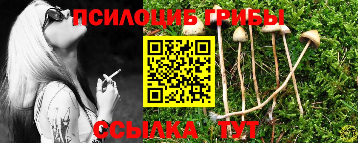 Курчатов  Галлюциногенные грибы ЛСД  Вход с VPN  Псилоцибиновые грибы прущие грибы 